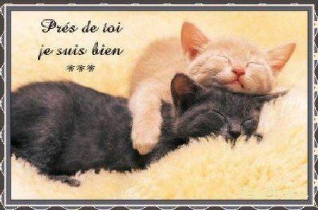 he ouais sa aussi